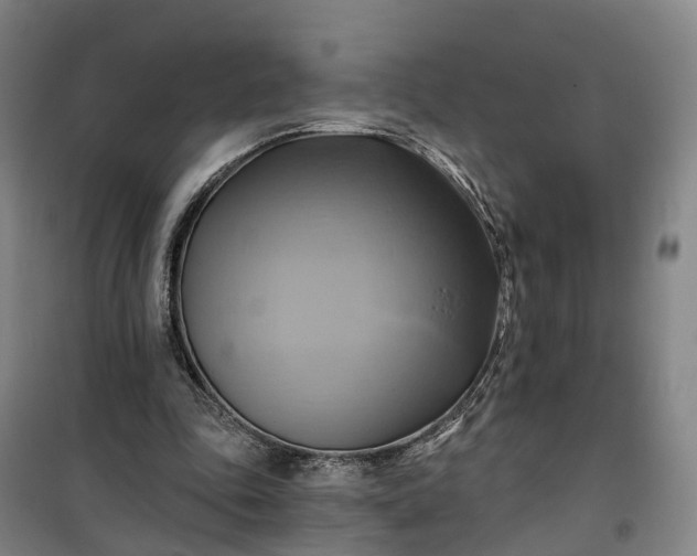 X0000101160343200807111034