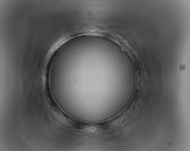 X0000101160344200807111034