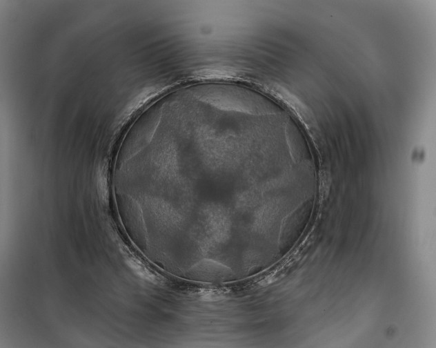 X0000101160345200807111034