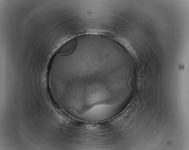 X0000101160346200807111034