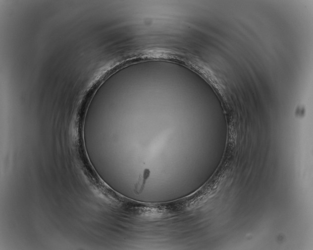 X0000101160347200807111034