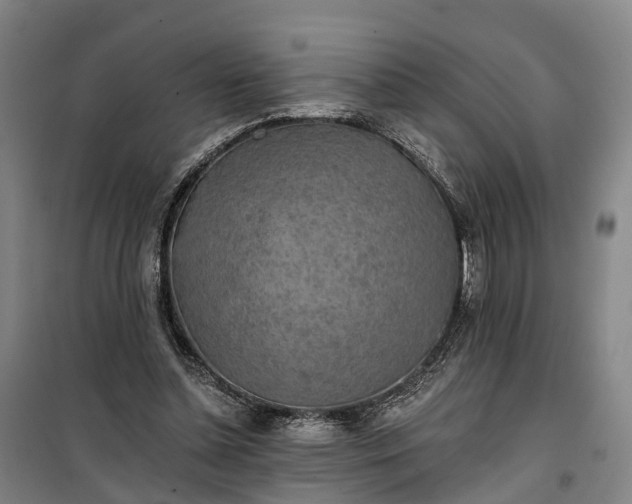 X0000101160348200807111034