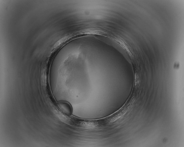 X0000101160349200807111034