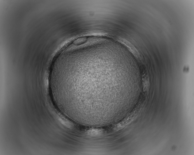 X0000101160350200807111034