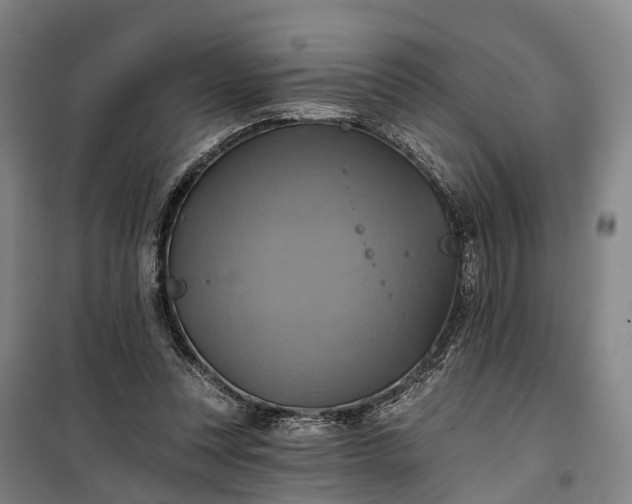 X0000101160351200807111034