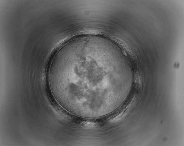 X0000101160352200807111034