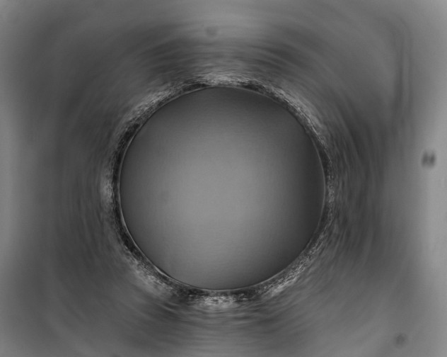 X0000101160353200807111034