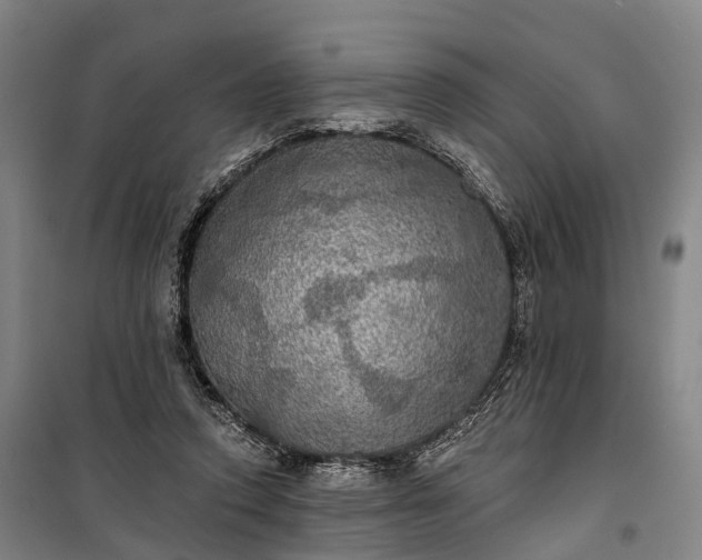 X0000101160354200807111034