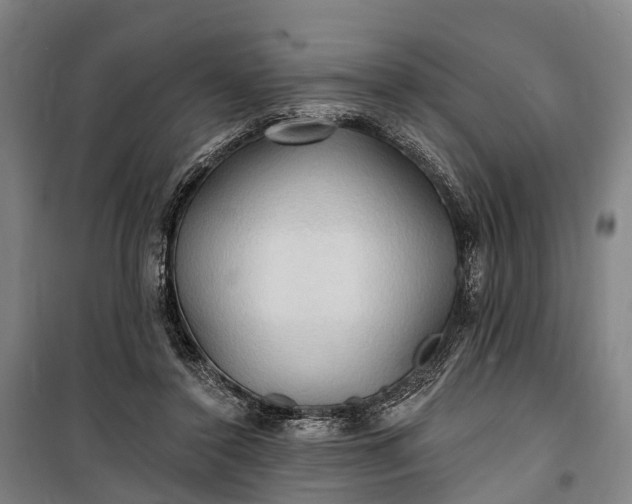 X0000101160356200807111034