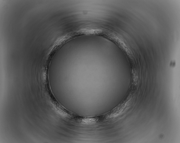 X0000101160357200807111034