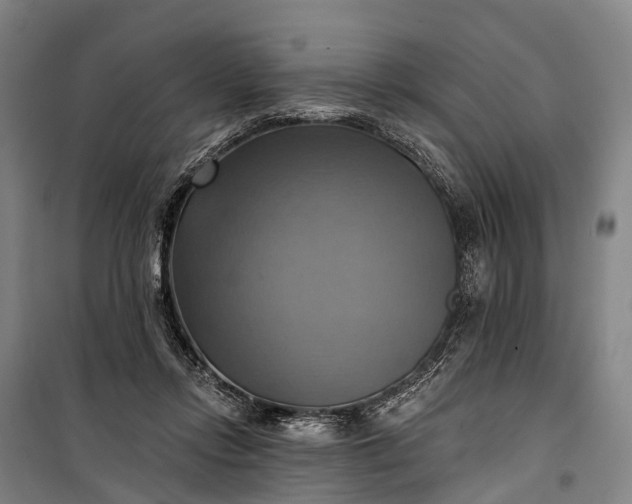 X0000101160358200807111034