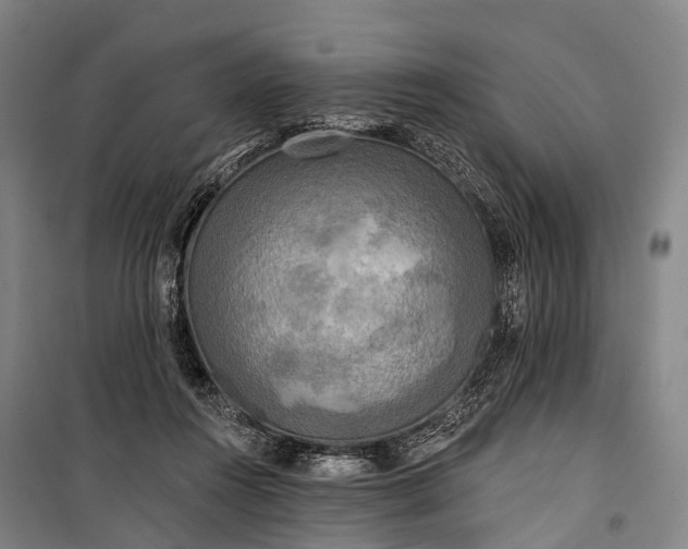 X0000101160360200807111034