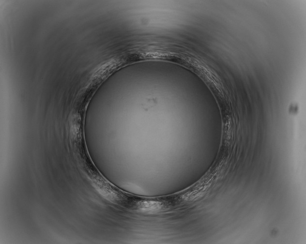 X0000101160361200807111034