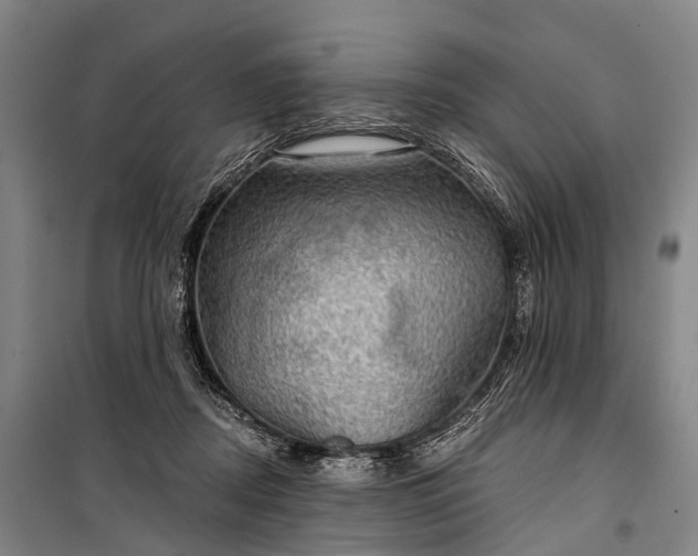 X0000101160362200807111034