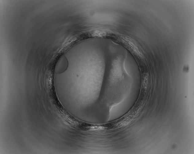 X0000101160363200807111034