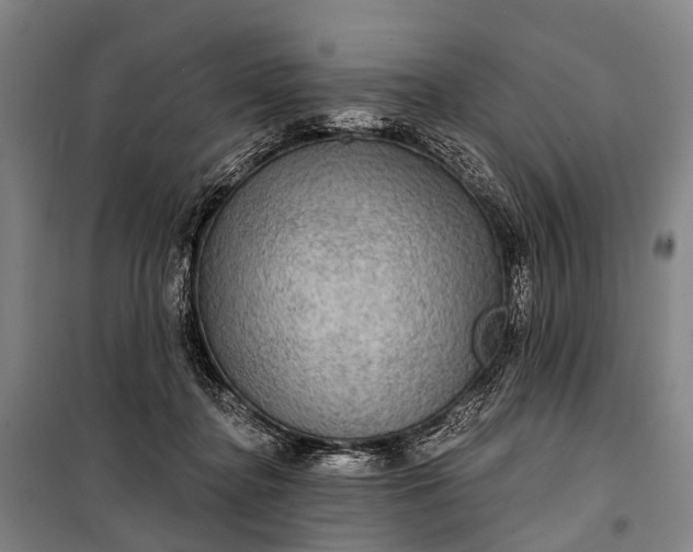 X0000101160364200807111034