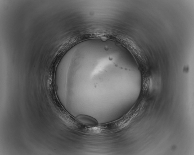 X0000101160365200807111034