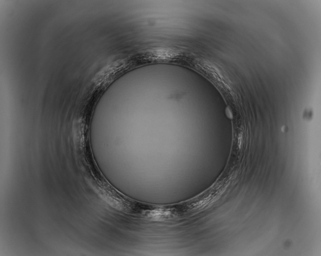 X0000101160366200807111034