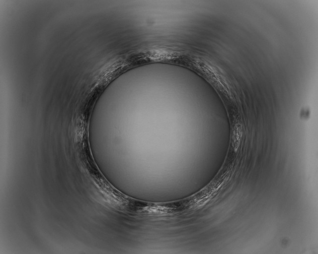 X0000101160367200807111034