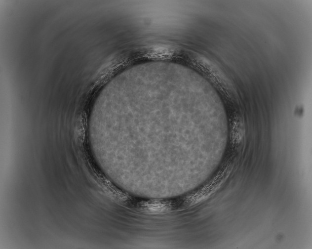 X0000101160370200807111034