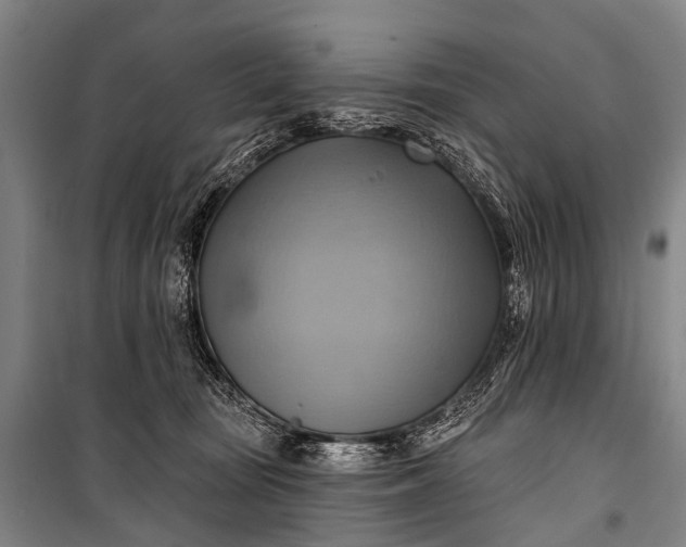 X0000101160371200807111034