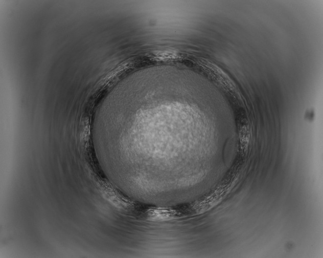 X0000101160372200807111034