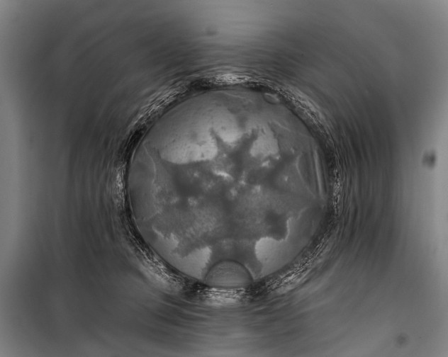 X0000101160373200807111034