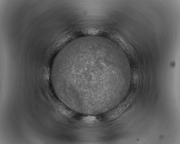 X0000101160374200807111034