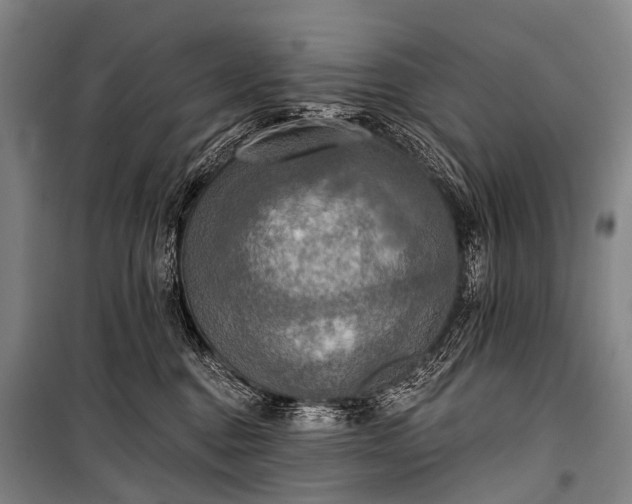 X0000101160376200807111034