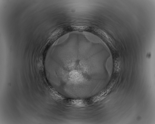 X0000101160377200807111034