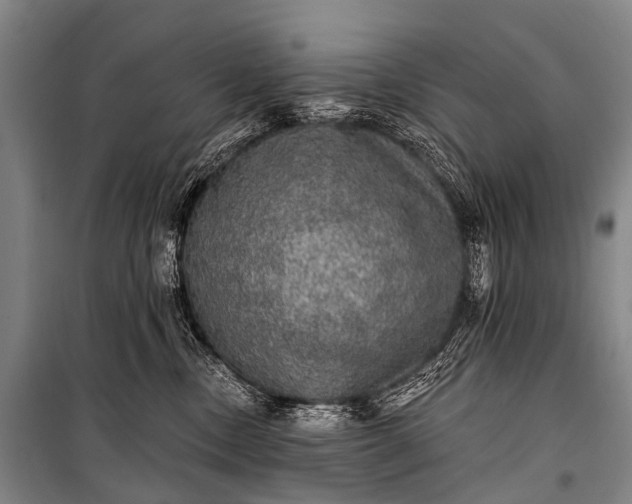 X0000101160378200807111034