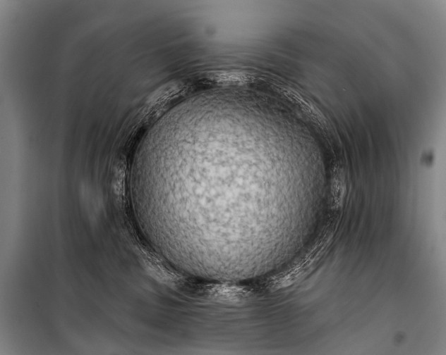 X0000101160379200807111035