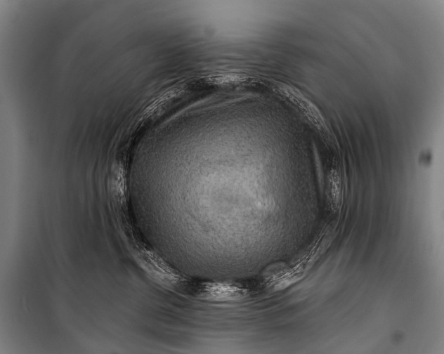 X0000101160380200807111035