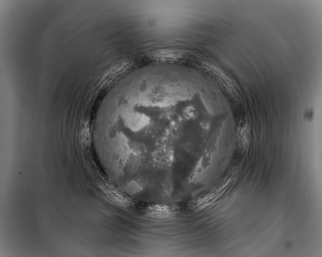 X0000101160381200807111035