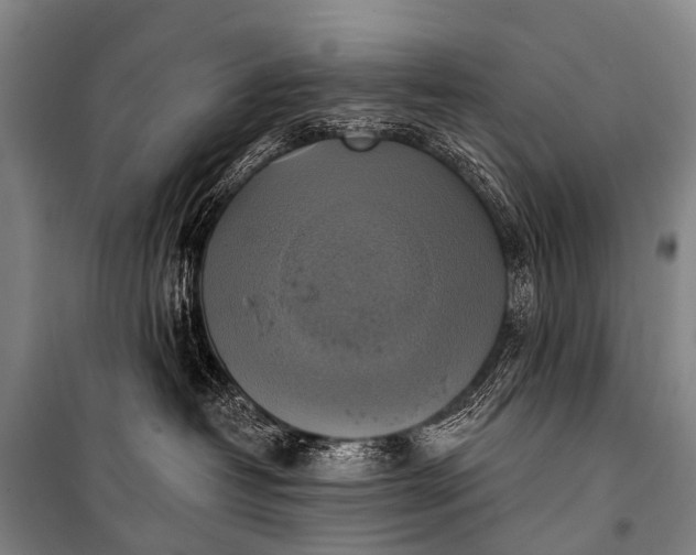 X0000101160382200807111035