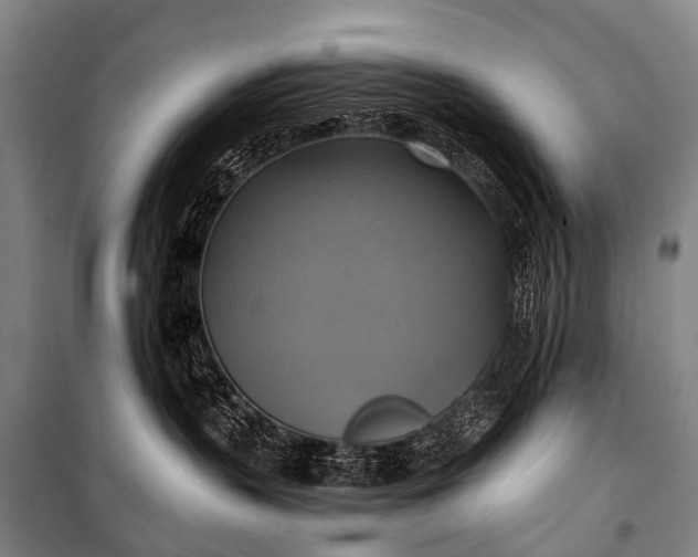 X0000101160383200807111035