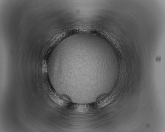 X0000101160384200807111035