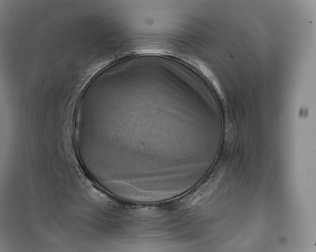 X0000101160385200807111034