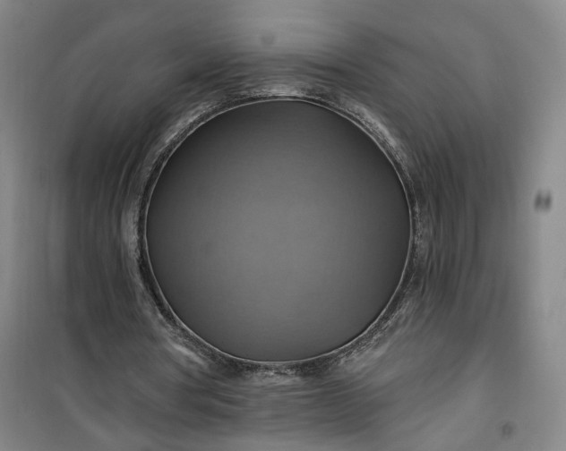 X0000101160386200807111034