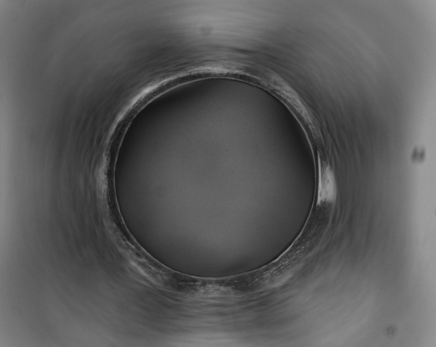 X0000101160387200807111034