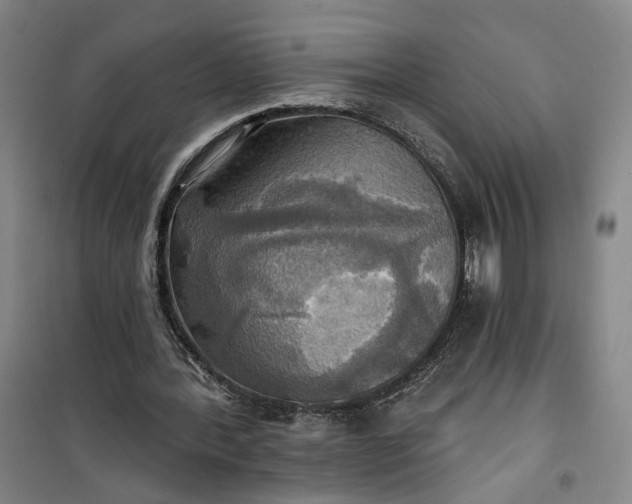 X0000101160388200807111034