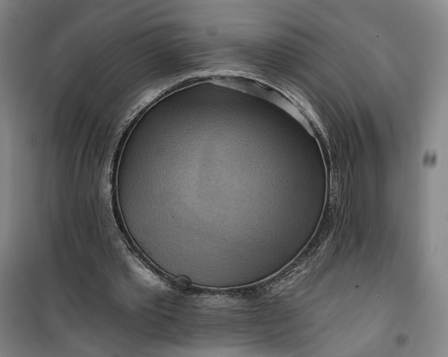 X0000101160389200807111034