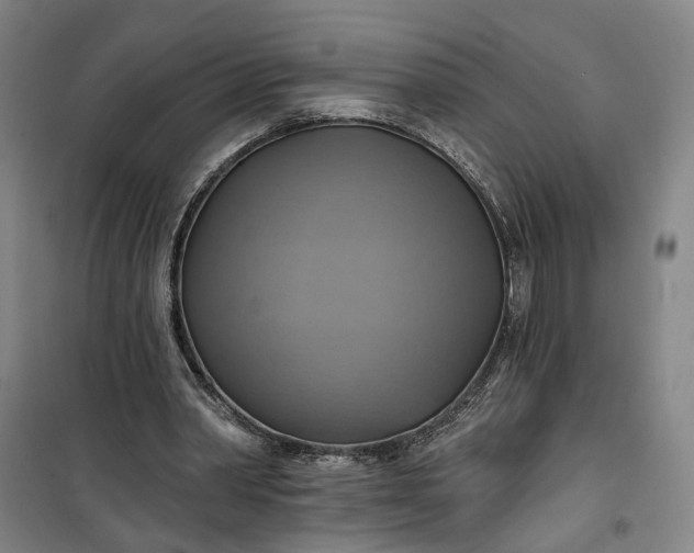 X0000101160390200807111034