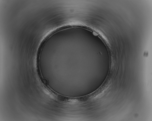 X0000101160391200807111033