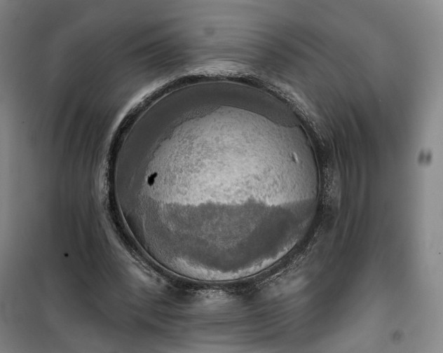 X0000101160392200807111033