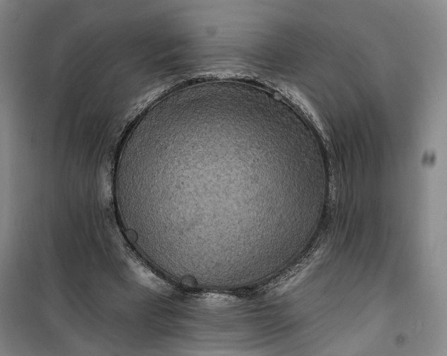 X0000101160393200807111033