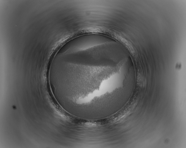 X0000101160394200807111033