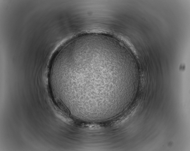 X0000101160395200807111033