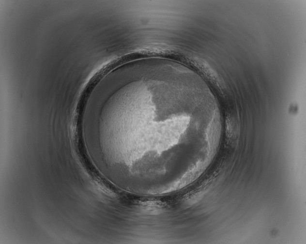 X0000101160396200807111033