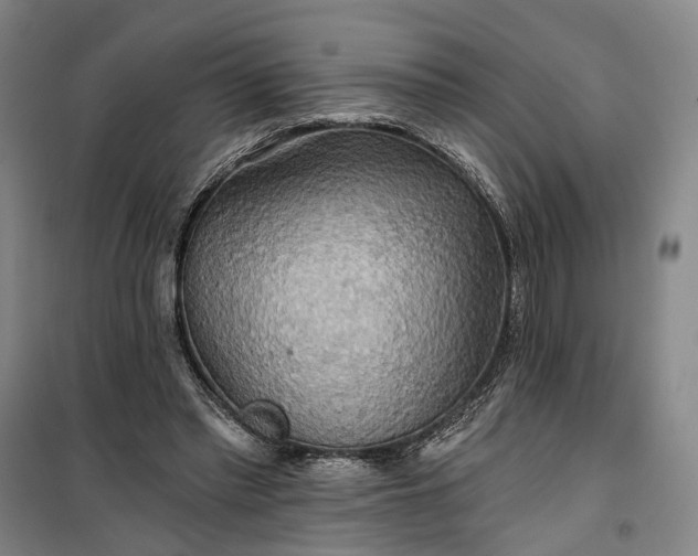 X0000101160397200807111033